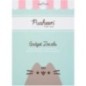 Set pegatinas reutilizables Pusheen
