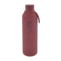 Botella termica Bordeaux World Map 710ml