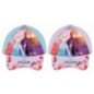 Gorra Frozen Disney surtido