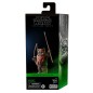 Figura Wicket Return of the Jedi Star Wars 15cm