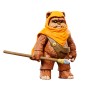 Figuras Wicket W Warrick & Kneesaa Ewoks Star Wars 9cm