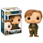 Figura POP Harry Potter Remus Lupin