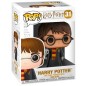 Figura POP Harry Potter Harry with Hedwig Exclusive