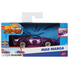 Coche Carreras Hot Wheels surtido