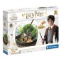 Terrarium Harry Potter