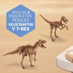 Kit de Excavacion Dinosaurios