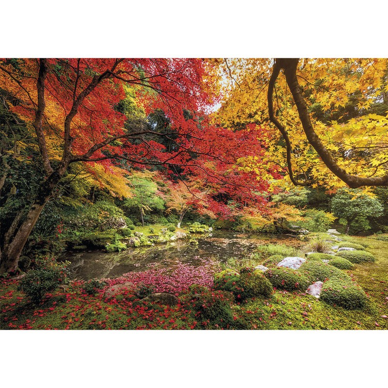 Puzzle Parque Otoño 1500pzs