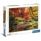 Puzzle Parque Otoño 1500pzs