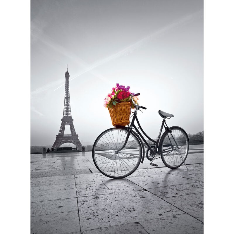 Puzzle Paseo Romantico en Paris 500pzs