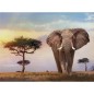 Puzzle Puesta de Sol en Africa 500pzs