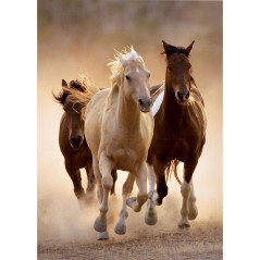 Puzzle Running Horses 1000pzs