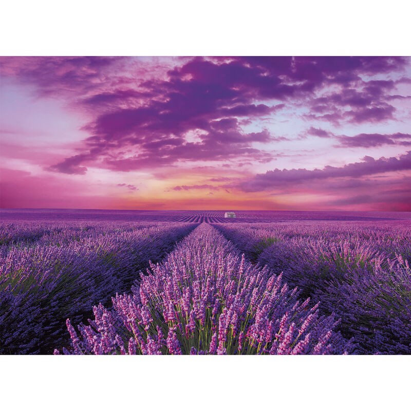 Puzzle Campos de Lavanda 1000pzs