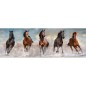 Puzzle Panorama Caballos 1000pzs