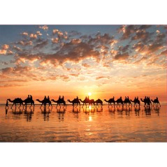 Puzzle Atardecer Dorado en Cable Beach Australia 1000pzs