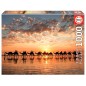 Puzzle Atardecer Dorado en Cable Beach Australia 1000pzs