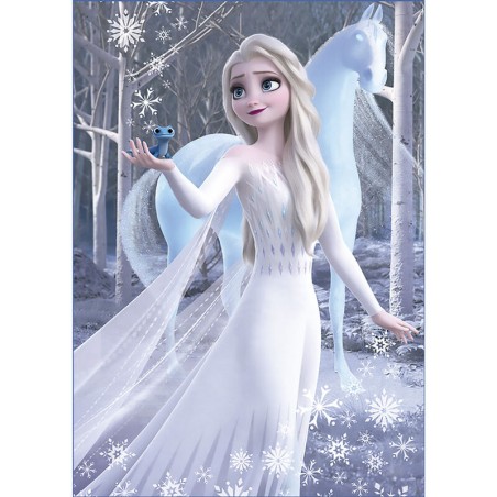 Puzzle Frozen 2 Disney 2x500pzs