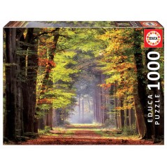 Puzzle Paseo Otoñal 1000pzs