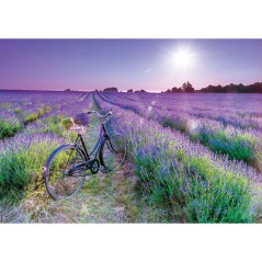 Puzzle Bicicleta en el campo de lavanda 1000pzs