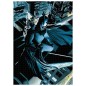 Puzzle Batman Vigilante DC Comics 1000pzs