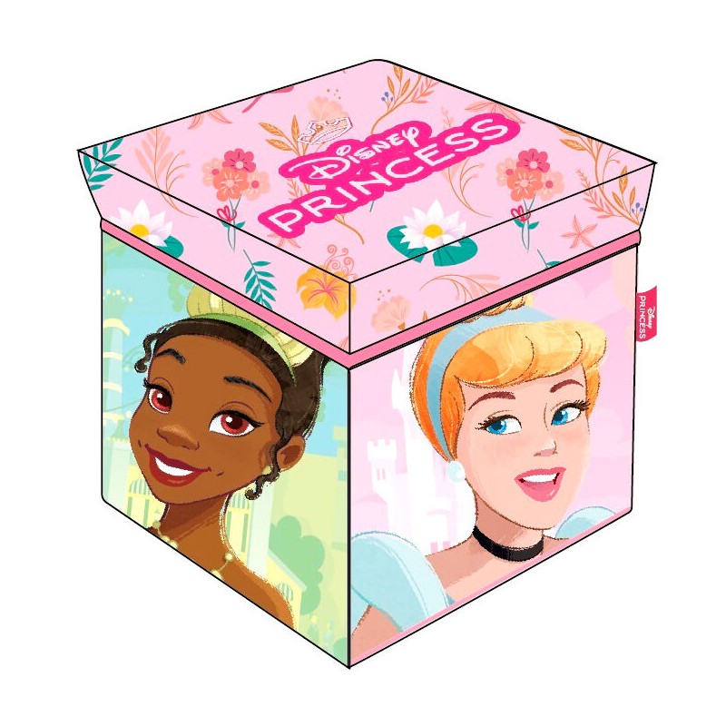 Cubo almacenaje Princesas Disney