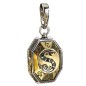 Colgante charm Guardapelo Slytherin Harry Potter