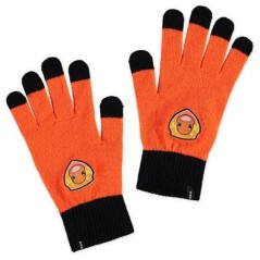 Set gorro y guantes Charmander Pokemon