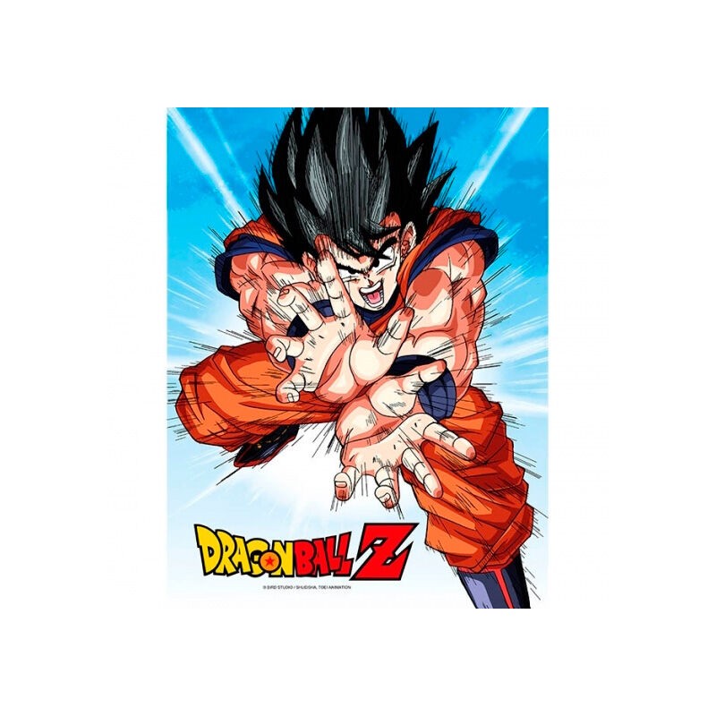 Poster cristal Goku Kame Dragon Ball Z