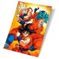 Poster 3D Champa Goku States Dragon Ball Super