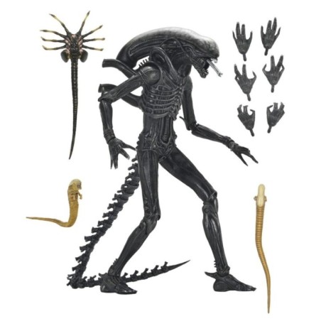 Figura Ultimate Xenomorph Alien: Romulus 18cm