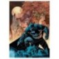 Puzzle Batman Catwoman DC Comics 1000pzs