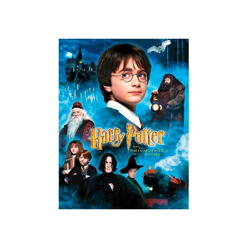 Poster cristal Harry Potter y la Piedra Filosofal Harry Potter