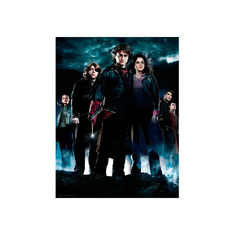 Poster cristal Grupo Harry Potter