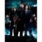 Poster cristal Grupo Harry Potter