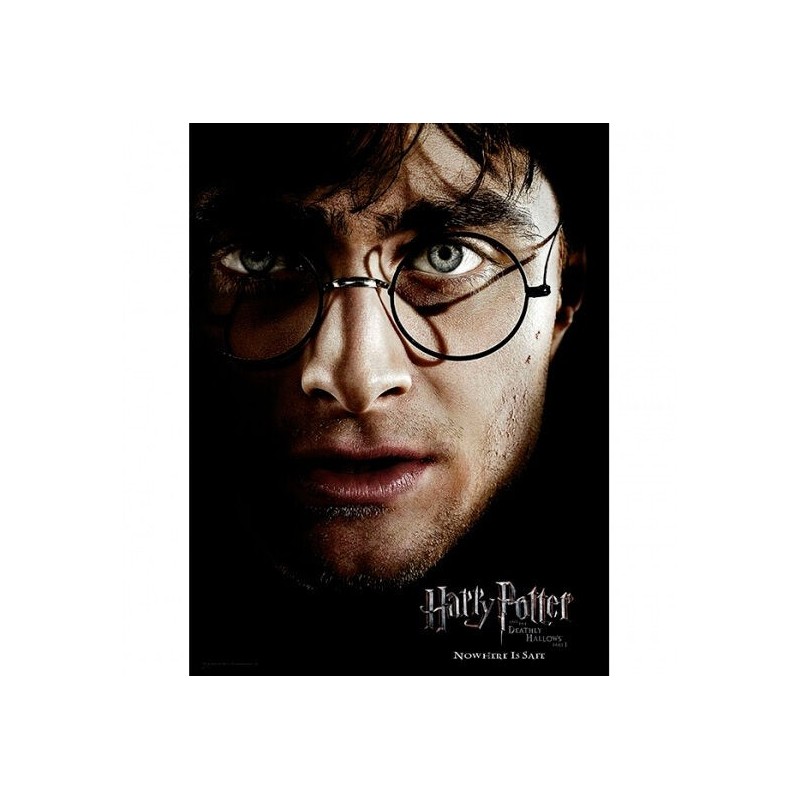 Poster cristal Harry Potter
