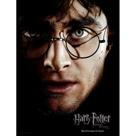 Poster cristal Harry Potter