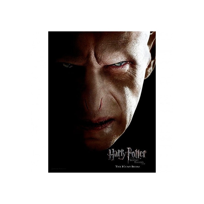 Poster cristal Voldemort Harry Potter