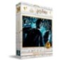 Puzzle Efecto 3D Harry Potter y el Misterio del Principe Harry Potter 100pzs