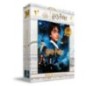 Puzzle Efecto 3D Piedra Filosofal Harry Potter 100pzs